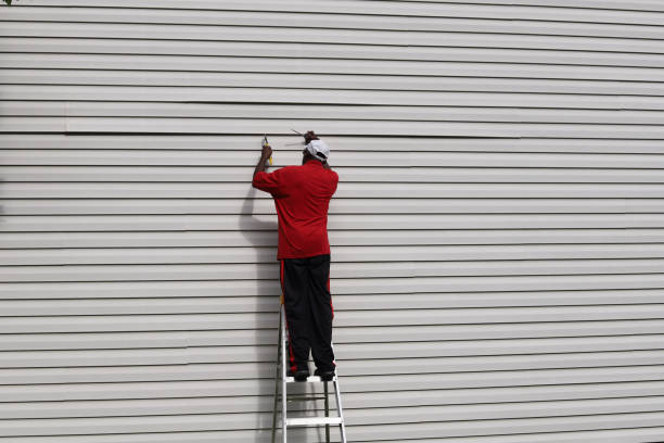 Best Siding Painting and Refinishing  in Pine Ridge, FL