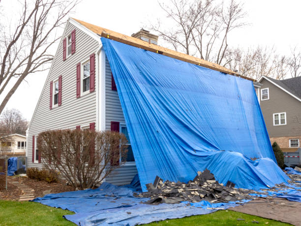 Best Fiber Cement Siding Installation  in Pine Ridge, FL