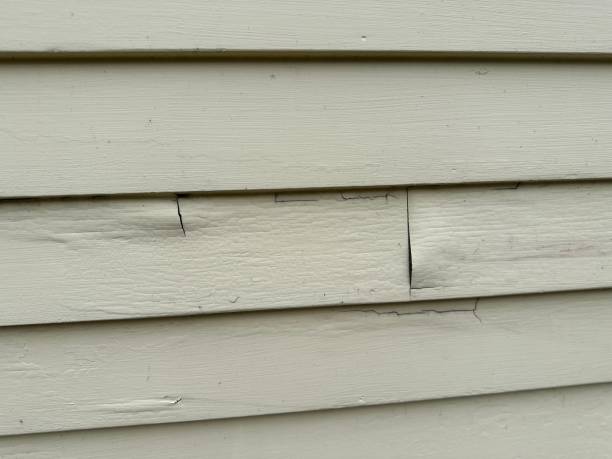 Best Siding for Commercial Buildings  in Pine Ridge, FL